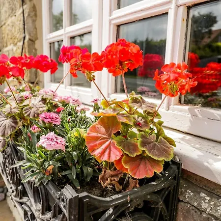 Raygill Prázdninový dům